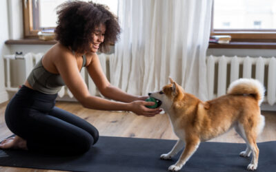 My Morning Routine As a Therapist